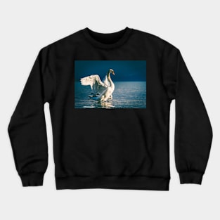 White Swan in Sunlight Crewneck Sweatshirt